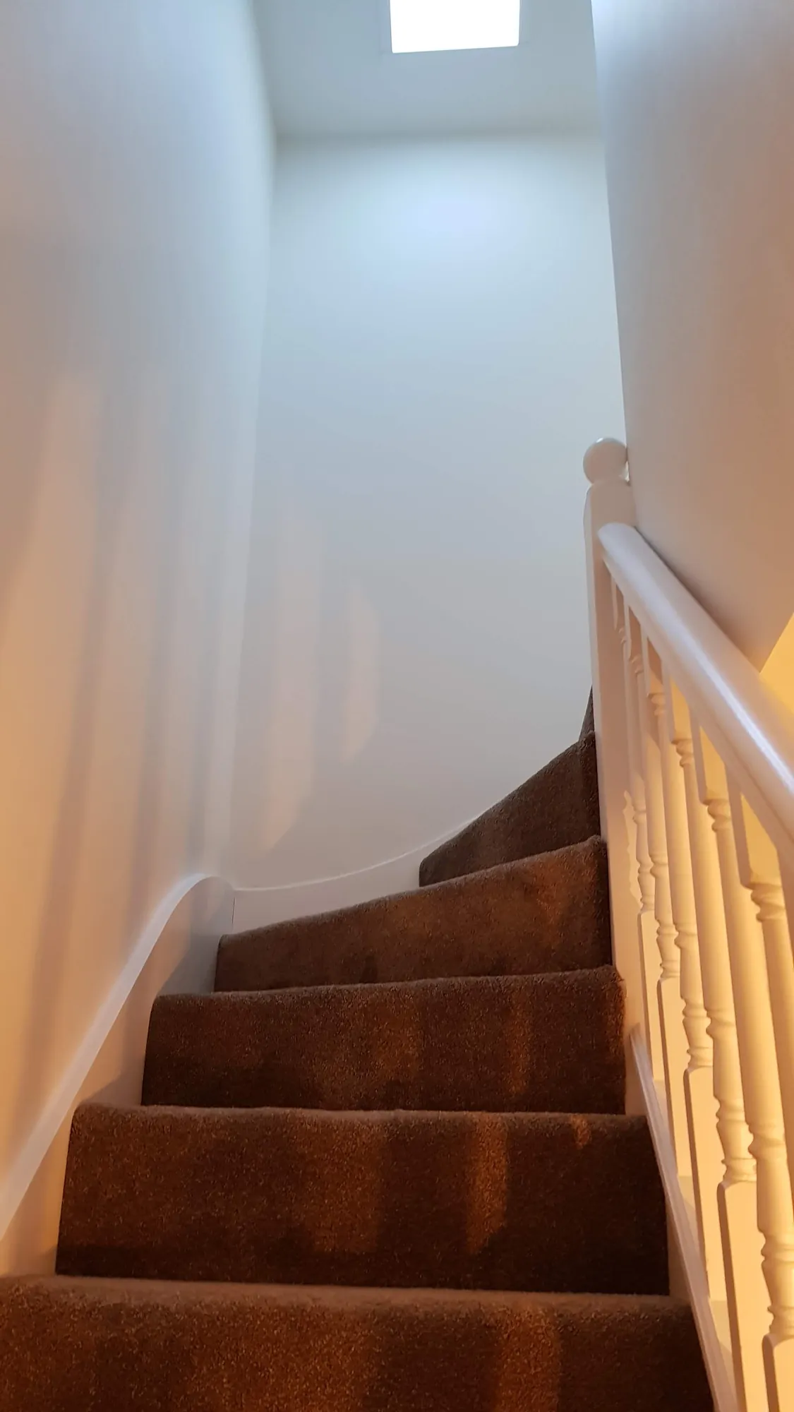 Carpeted stairs up to the loft